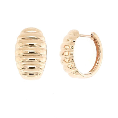 Coquille Gold Earrings