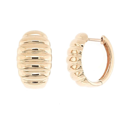 Coquille Gold Earrings