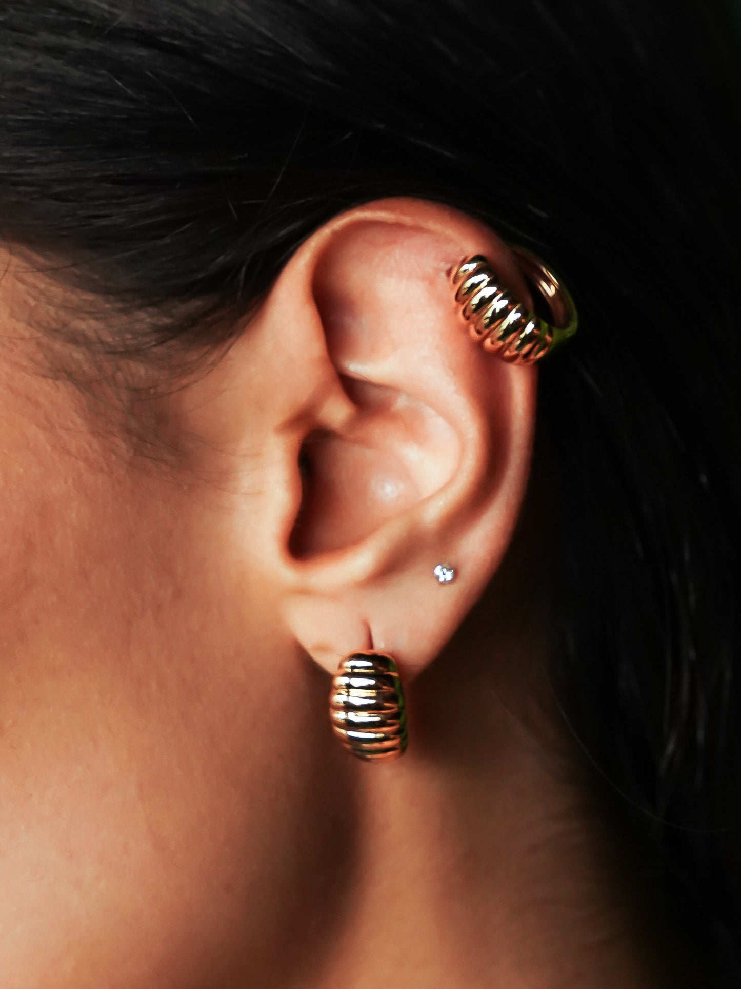 Coquille Gold Earrings